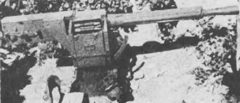 WNJAP_40mm-62_HI_pic.jpg