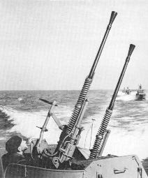 WNRussian_25mm-79_2m-3_P-6_pic.jpg