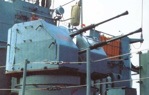WNRussian_25mm-79_2m-3_pic.jpg